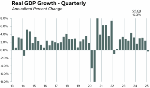 Real GDP GrowthchartUpdate NS.png